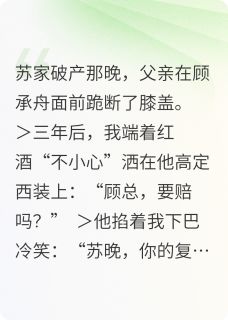 总裁的赎罪全集小说_苏晚顾承舟完结版阅读-暗夜阅读网
