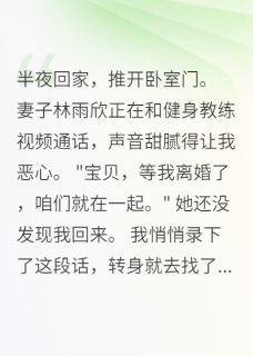 老婆续火花399天，我当场离婚(初七不爱吃番茄小说)小说最新章节