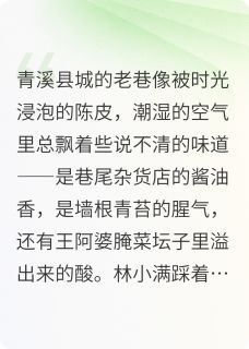 (精品)青石板上的时光小说