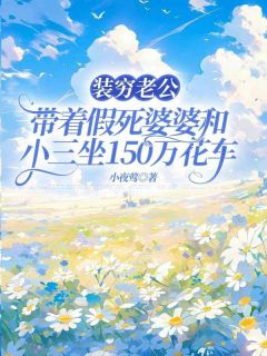 小夜莺写的小说装穷老公，带着假死婆婆和小三坐150万花车在线阅读