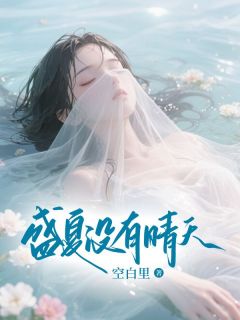 抖音盛夏没有晴天txt小说阅读