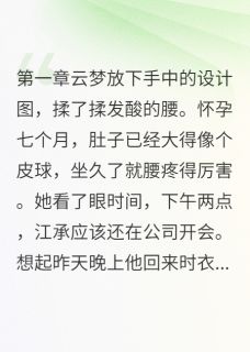 独家产房外他带着小三来看孩子小说-主角云梦江承全文免费阅读
