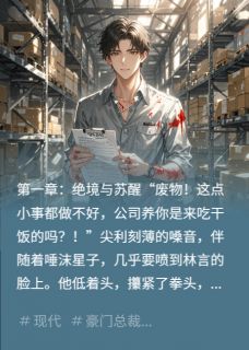 一碰就破防，我的冰山女总不对劲小说在线阅读，主角苏清影林言精彩段落最新篇-暗夜阅读网