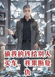 偷我的钱给别人买车，我果断复仇小说(完结版)-苏晚意邰振邦在线阅读