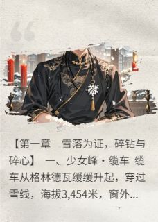 齐同舟谢云归主角的小说完结版雪落云归时，风雨同舟去全集