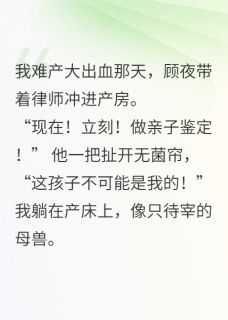 孩子刚出生就被带去了做亲子鉴定小说(完结版)-顾夜陆沉林薇在线阅读-暗夜阅读网