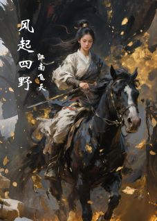风起四野文砚草芥儿崔百金全本小说（风起四野）全章节小说目录阅读