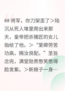 将军和拿杀猪刀的女人陆沉叶筝小说_将军和拿杀猪刀的女人完结版阅读