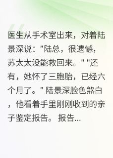 死在楼梯上，丈夫才知我是冤枉的是什么小说陆景深苏晚晚李欣欣全本免费阅读
