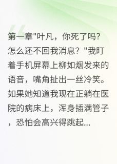柳如烟苏雨赵磊小说无广告阅读