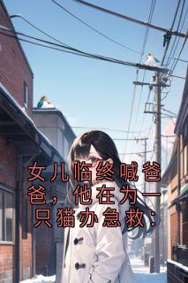 女儿临终喊爸爸，他在为一只猫办急救：在线全文阅读-主人公沈清禾傅云深小说