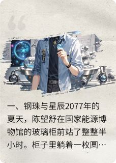 陈望舒张野小说<无限能源，躺平文明慢慢走向星辰>全文在线阅读