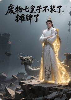 废物七皇子不装了，摊牌了【全章节】萧锐林月瑶完结版免费阅读-暗夜阅读网