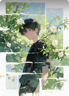 叶枫秦骁苏黎章节免费阅读