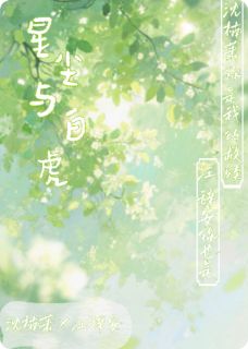 星尘与白虎小说全集(江辞安沈楠萧)无弹窗广告阅读