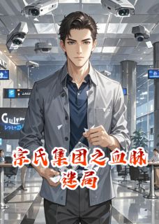 宗氏集团之血脉迷局小说_宗氏集团之血脉迷局小说结局阅读
