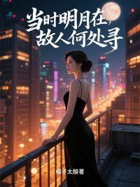 当时明月在，故人何处寻(新书)大结局在线阅读