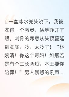和离后，战神王爷跪求我别走(萧玄柳如烟)最新章节试读