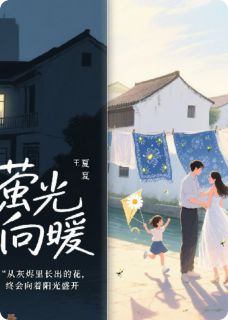 好书推荐萤光向暖王莹莹项祺夏卿全文在线阅读