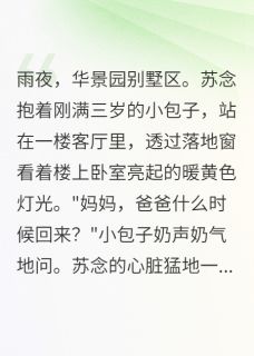 苏念江婉清顾慕晨是哪本小说主角 她抢走我身份还要抢我儿子免费全章节阅读
