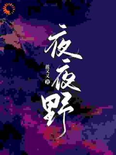 夜夜野（全本）欧小野龙司野完整章节列表免费阅读