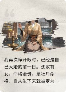 我好像杀了我自己李砚之阿若沈青澜全章节在线阅读