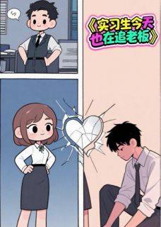 实习生今天也在追老板无弹窗在线阅读