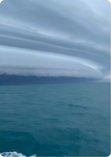 正版小说穿进虐文当女主，荡平一群二百五白雨陆琛沈烽在线免费阅读