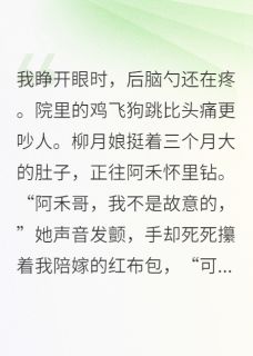 他跪求我做妾？我直接当皇后！小说(完结)-阿禾柳月娘章节阅读
