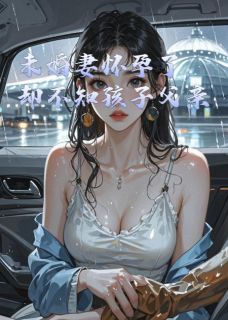 主角陆铮苏砚小说完整版-未婚妻怀孕了，却不知孩子父亲免费阅读全文-暗夜阅读网