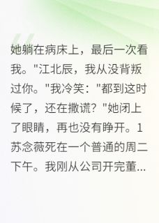 妻子死后，我才知她守了五年空房免费小说作者初七不爱吃番茄全文阅读