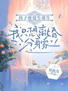 热门小说孩子谁爱生谁生，我只想离婚分身家！完整版全文阅读