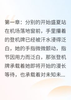 正版小说暖光相伴：生活的温暖守护盛夏顾辞小顾歌在线免费阅读