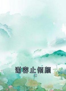 谢容止倾颜（全本）谢容止倾颜完整章节列表免费阅读-暗夜阅读网
