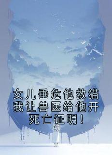 傅韵娇沈景洲全本章节在线阅读大结局