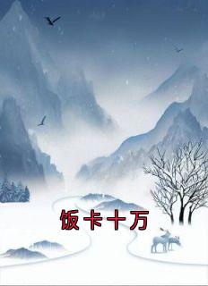 神秘人的小说饭卡十万全文阅读-暗夜阅读网