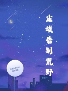 佚名写的小说尘埃告别荒野顾城苏雨全文阅读