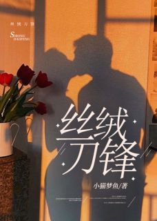 丝绒刀锋免费阅读全文，主角江宁祁瑾洲小说完整版最新章节-暗夜阅读网