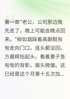 强烈推荐妻子转走三千万后消失，我笑了方晨辉柳如烟在线阅读