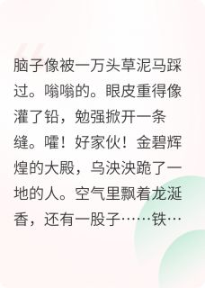 主角瓜尔佳甄嬛苏培盛的小说作者宝贼