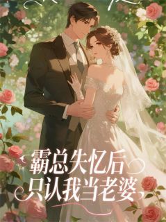 抖音热推小说霸总失忆后只认我当老婆全文在线阅读