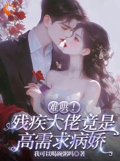 难哄！残疾大佬竟是高需求病娇小说(完结)-司倾安陆见川章节阅读