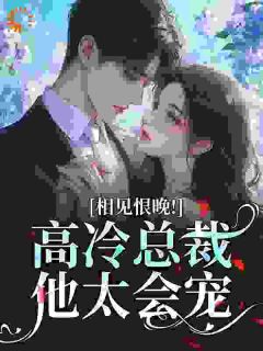 相见恨晚!高冷总裁他太会宠小说(完整版)-岑念靳司扬章节阅读-暗夜阅读网