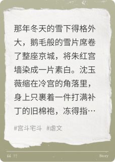 梅簪雪精彩小说-梅簪雪目录阅读