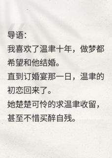 岁岁不心碎精彩章节-岁岁不心碎免费阅读全文-暗夜阅读网