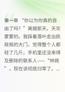 林婉林潇沈知年结局是什么 林婉林潇沈知年免费阅读全文-暗夜阅读网