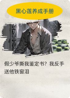 正版小说假少爷撕我鉴定书？我送他铁窗泪林予安江辰苏晚意在线免费阅读