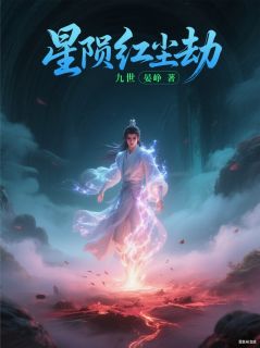 抖音完结星陨红尘劫苏叶曜辰深渊(全文在线阅读)