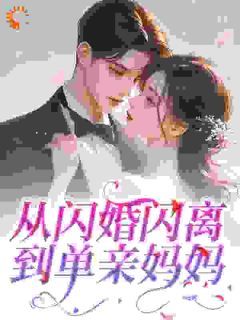 [抖音]小说林夏陈砚从闪婚闪离到单亲妈妈