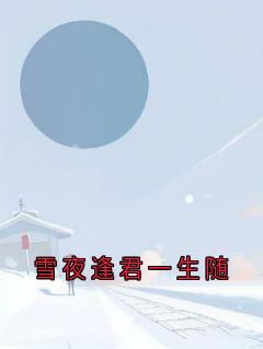 雪夜逢君一生随免费章节雪夜逢君一生随点我搜索全章节小说